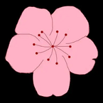 丝瓜视频app最新版