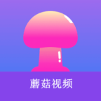 91网站免费版APP应用