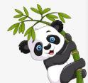 WWW,972se·COM网站APPAPP应用
